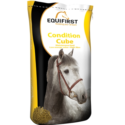 EQUIFIRST CONDITION CUBE 20 KG