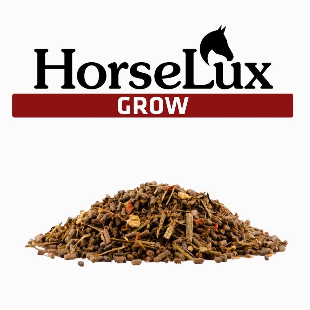 HORSELUX GROW 15 KG